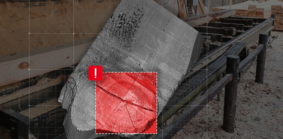 Determination of timber logs